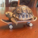 TechDeckTurtle logo