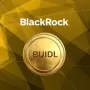 BUIDL