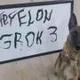 First Dog To Draw Grok logo