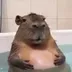 Jabba logo