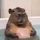 Jabba logo