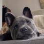 Lola
