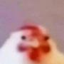 HEN