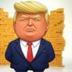 WallTrump logo