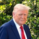 Trump Trolling logo