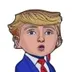 Barron Trump logo