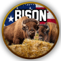 BISON