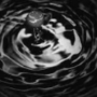 DARKPOOL