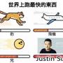 justin sun