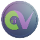 CV TOKEN logo