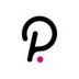 Polkadot Token logo