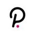 Polkadot Token logo