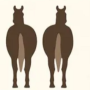 HORSEASS