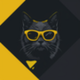 CATAMOTO logo