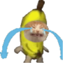 BananaCat