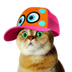 CatWifCap logo