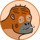 APETOS logo