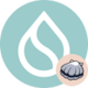 sAfSUI logo