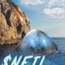 Neil The Suiel logo