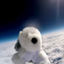 First Stuffed Dog In Space logo