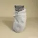 Purrito logo