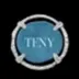 TFNY logo