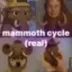 mammoth cycle (real) logo