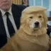Elon Musk's Dog logo