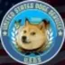 United States Doge Service logo
