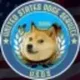 United States Doge Service logo