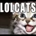 LOLcats logo
