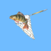 wrapped fish logo