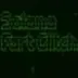 Solana Fart Glitch logo