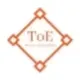 Theory of Everything logo