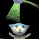 BONK SPIRIT ANIMAL logo