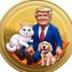 DOGE CAT SUI logo