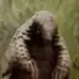 Netflix's Pangolin logo