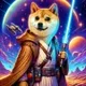DOGE SKYWALKER logo