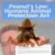 Peanuts Law logo