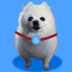 Sui DOG logo