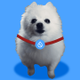 Sui DOG logo