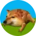 DROG logo