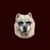 DogeFather logo