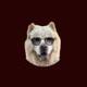 DogeFather logo