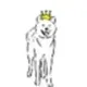 Kanto Dog logo