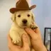 Peanut the dog logo