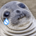 Akward Moment Seal logo