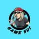 Hawk Sui logo