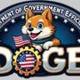 Department of D.O.G.E logo