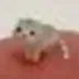 Low Quality Cat logo